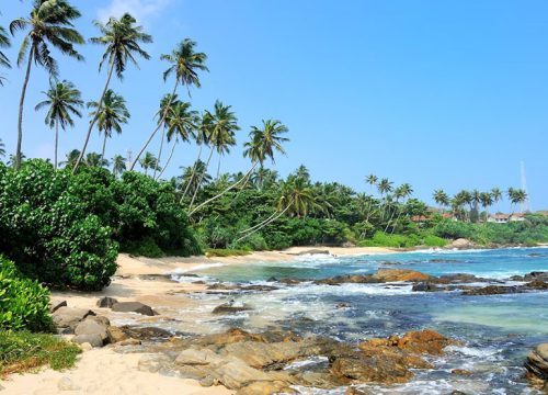 Sri Lanka -15N / 16D