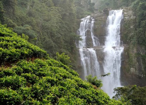 Sri lanka – 8N / 9D