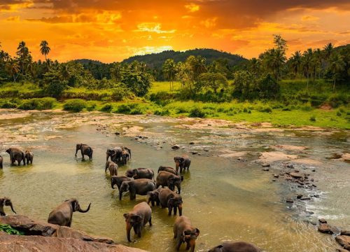 Sri Lanka – 5N / 6D