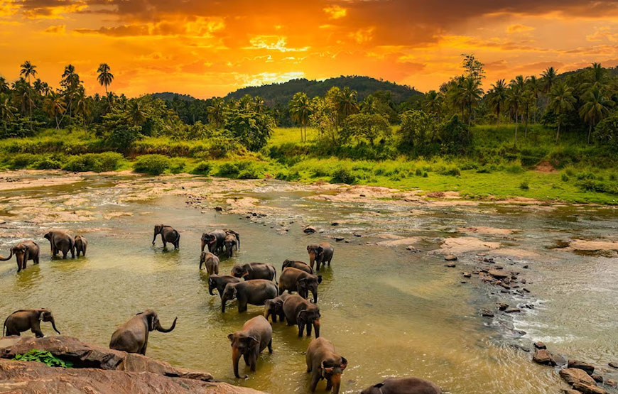 Sri Lanka – 5N / 6D