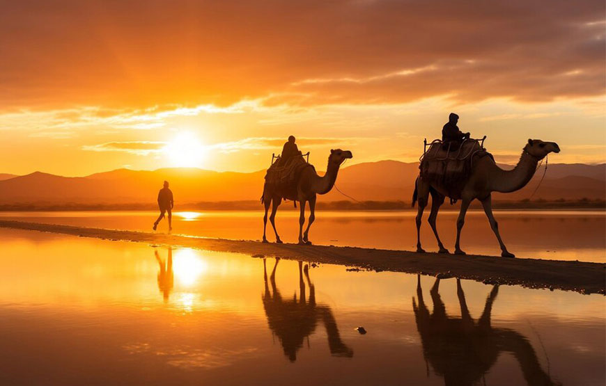Rajasthan School/College/Group Tour From Chennai – 5N / 6D