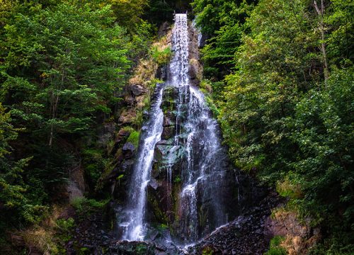 Scenic Madurai Kodaikanal Tour Package – 3N / 4D