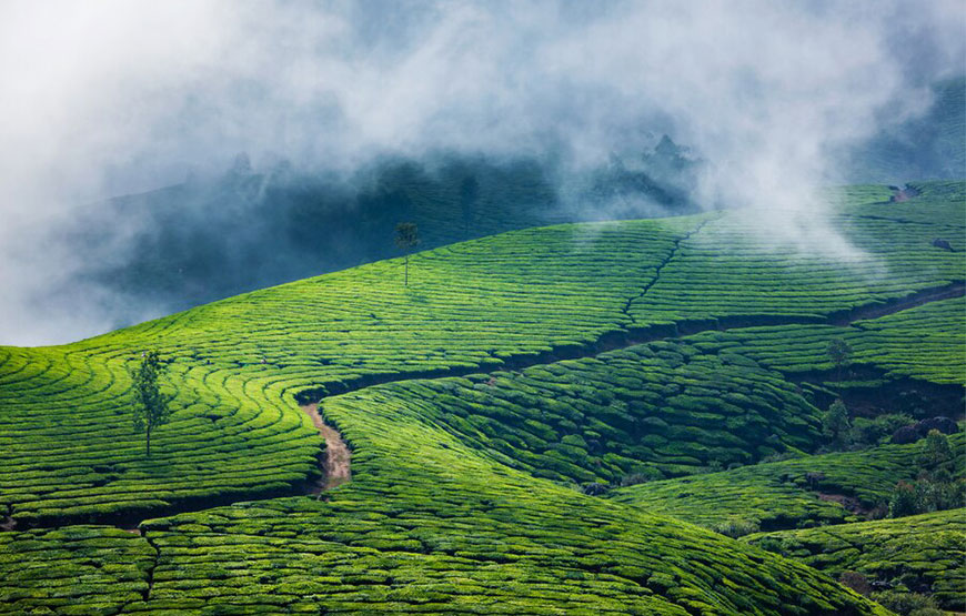 Kerala Special Holiday Package – 3N / 4D