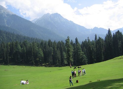 Kashmir Paradise Tour Package – 3N / 4D
