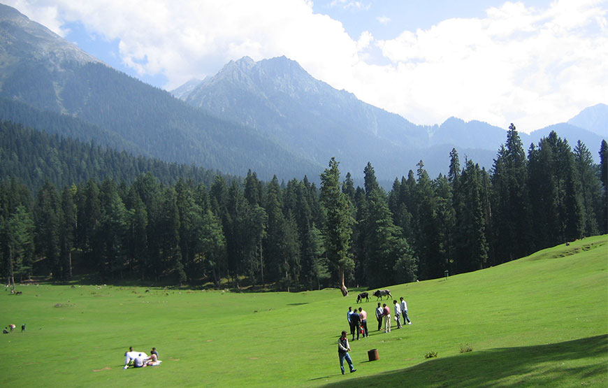 Kashmir Paradise Tour Package – 3N / 4D